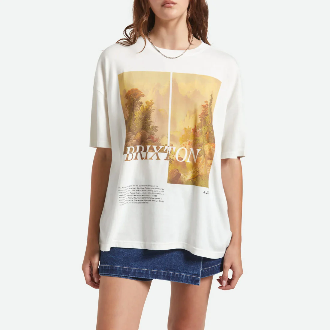 BRIXTON Women's Rocky Mountain Oversized Boyfriend Tee - Off White - Image 4