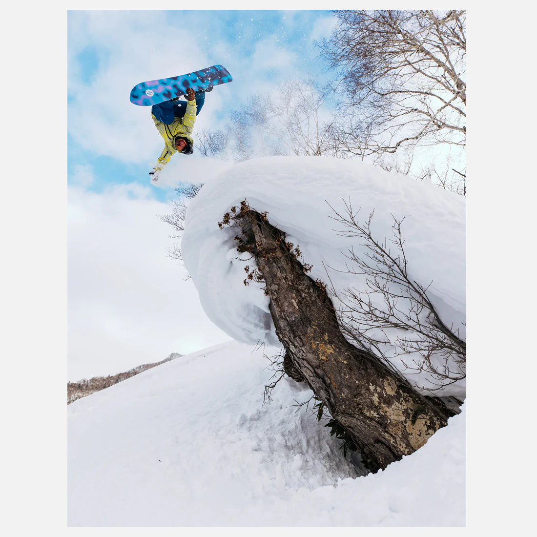 BURTON Family Tree Sketch Artist Snowboard 2026 - Image 10