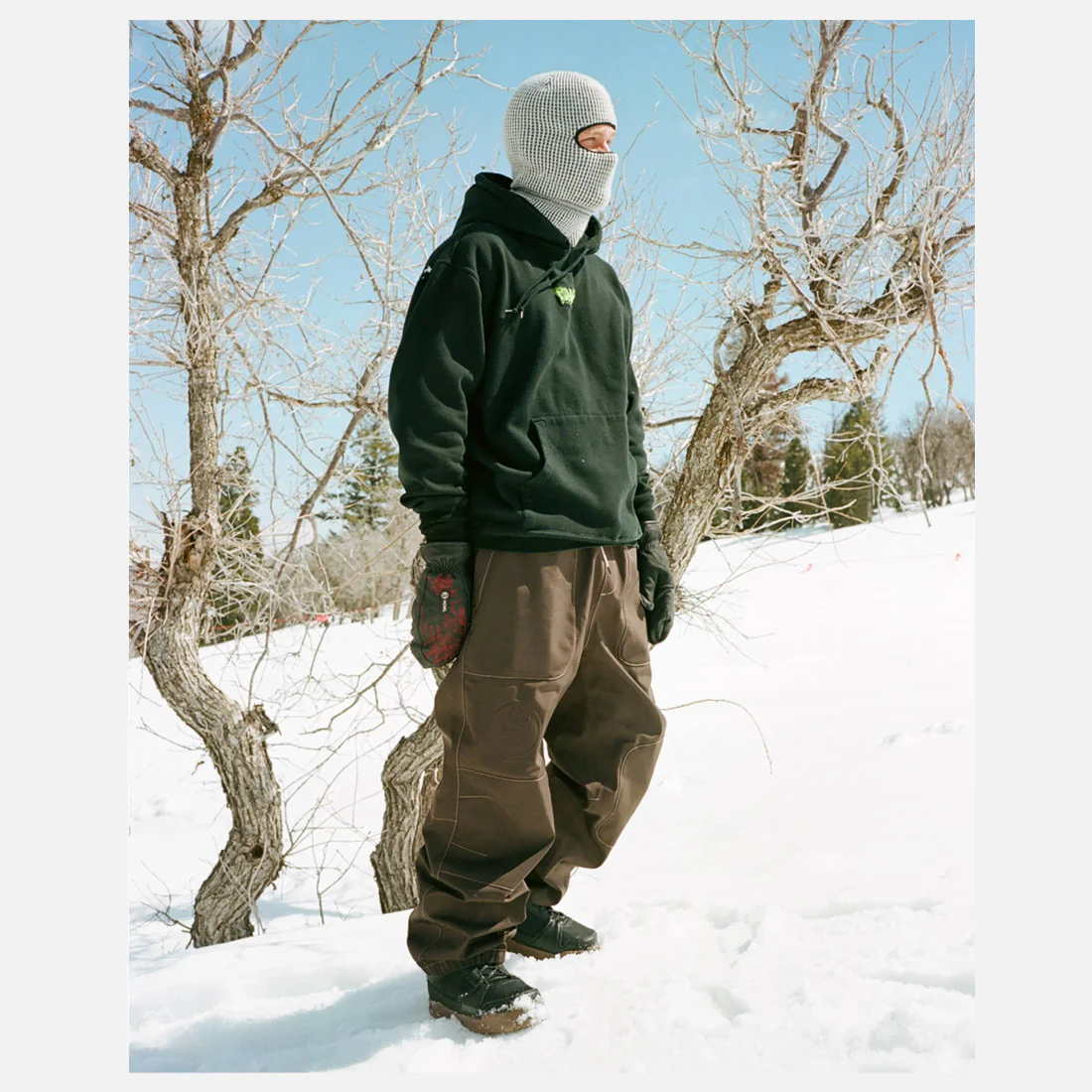 HOWL Public Pant 2026 - Brown - Image 5